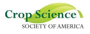 Crop Science Society of America logo