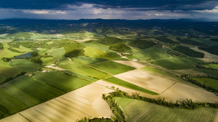 Image of grasslands and clouds and the environment
