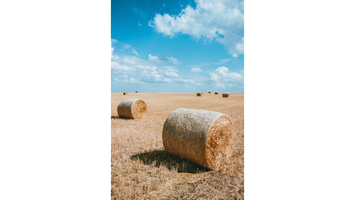 Hay image