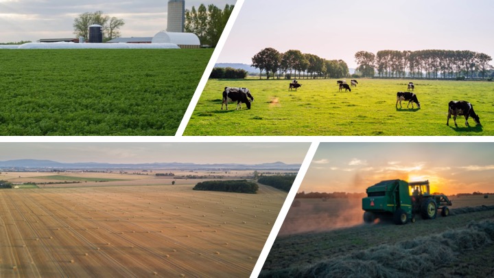 Images of silos, hay bales, harvesting equipment, forages, cows grazing
