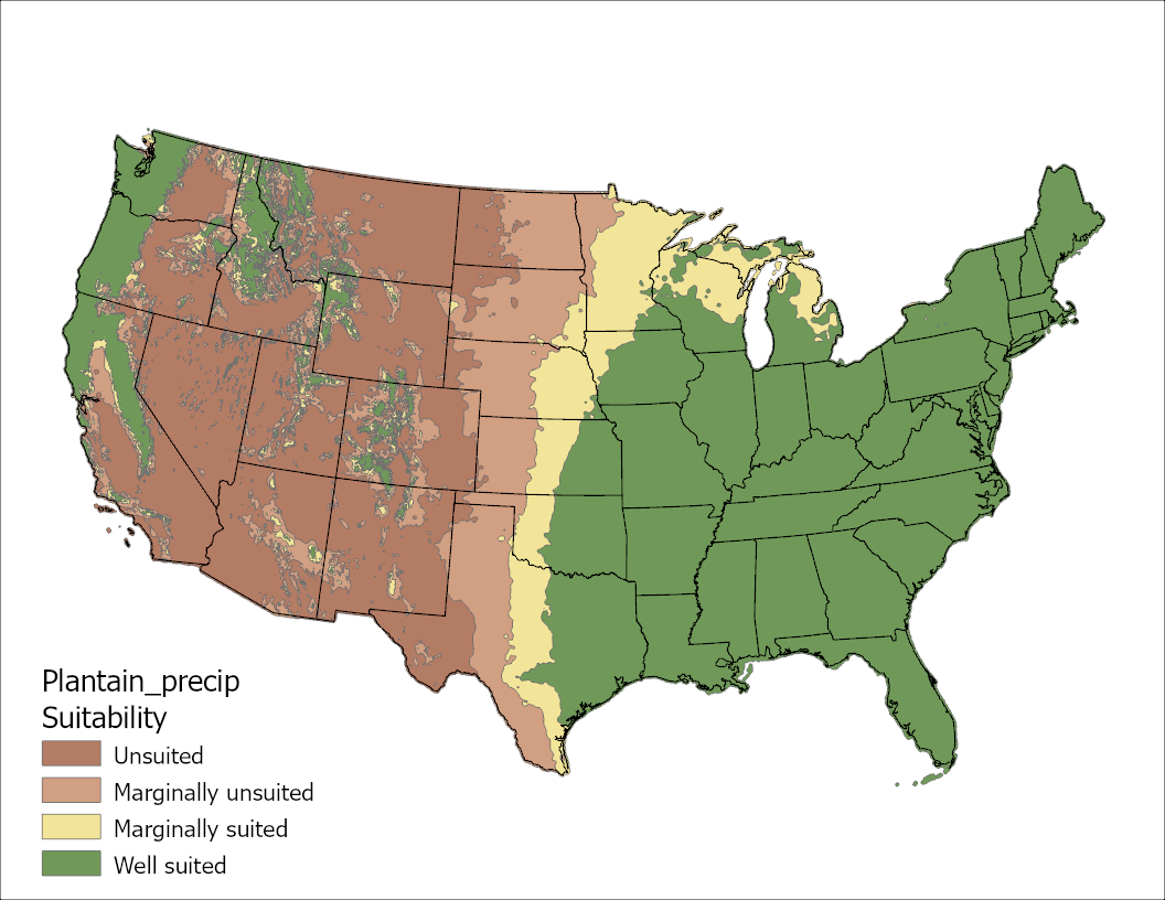 Narrow-Leafed Plantain Precipitation US Map