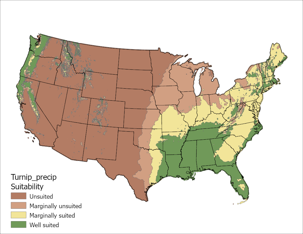Turnip Precipitation US Map