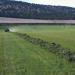 Alfalfa Windrow - Madras - Bob Rost photo credit