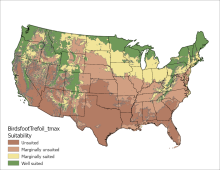 Birdsfoot Trefoil Temperature Maximum US Map