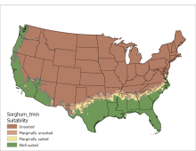 Sorghum Temperature Minimum US Map