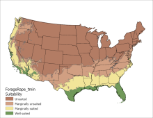 Forage Rape Temperature Minimum