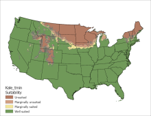 Kale Temperature Minimum US Map