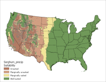 Sorghum Precipitation US Map