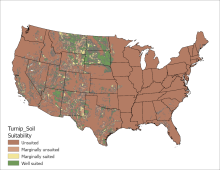 Turnip Soil US Map