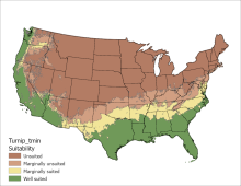 Turnip Temperature Minimum US Map