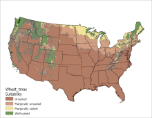 Wheat Temperature Maximum US Map